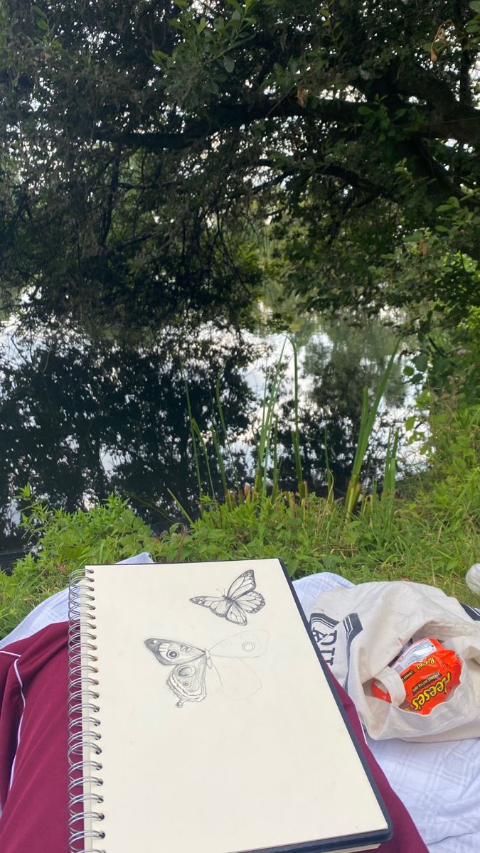 a notebook sitting on top of a blanket next to a lake and trees in the background