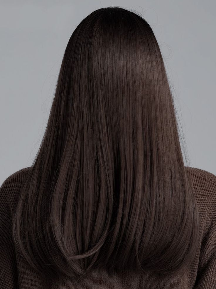 Dark Brunette Hair, Brown Hair Looks, Brown Hair Inspo, Haircuts Straight Hair, Long Straight Hair, Hair Inspiration Color, Hair Inspo Color, Dark Brown Hair, Hair Color Trends