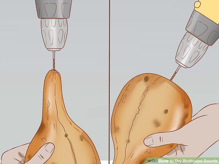 a potato being filled with liquid from a syringet to its head, and another person holding it in their hand