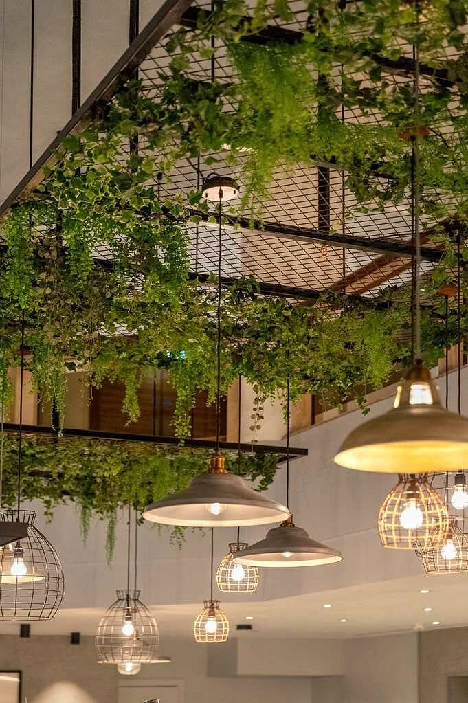 several lights hanging from the ceiling with plants growing on them