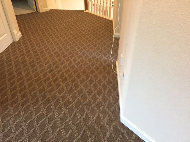 the hallway is clean and ready to be used for carpet cleaning in any home or office