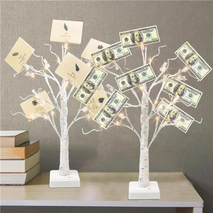 the money tree is decorated with dollar bills