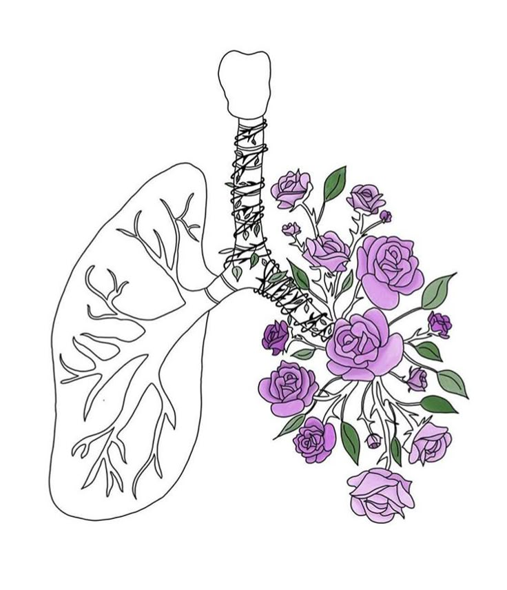 a drawing of the lungs and flowers