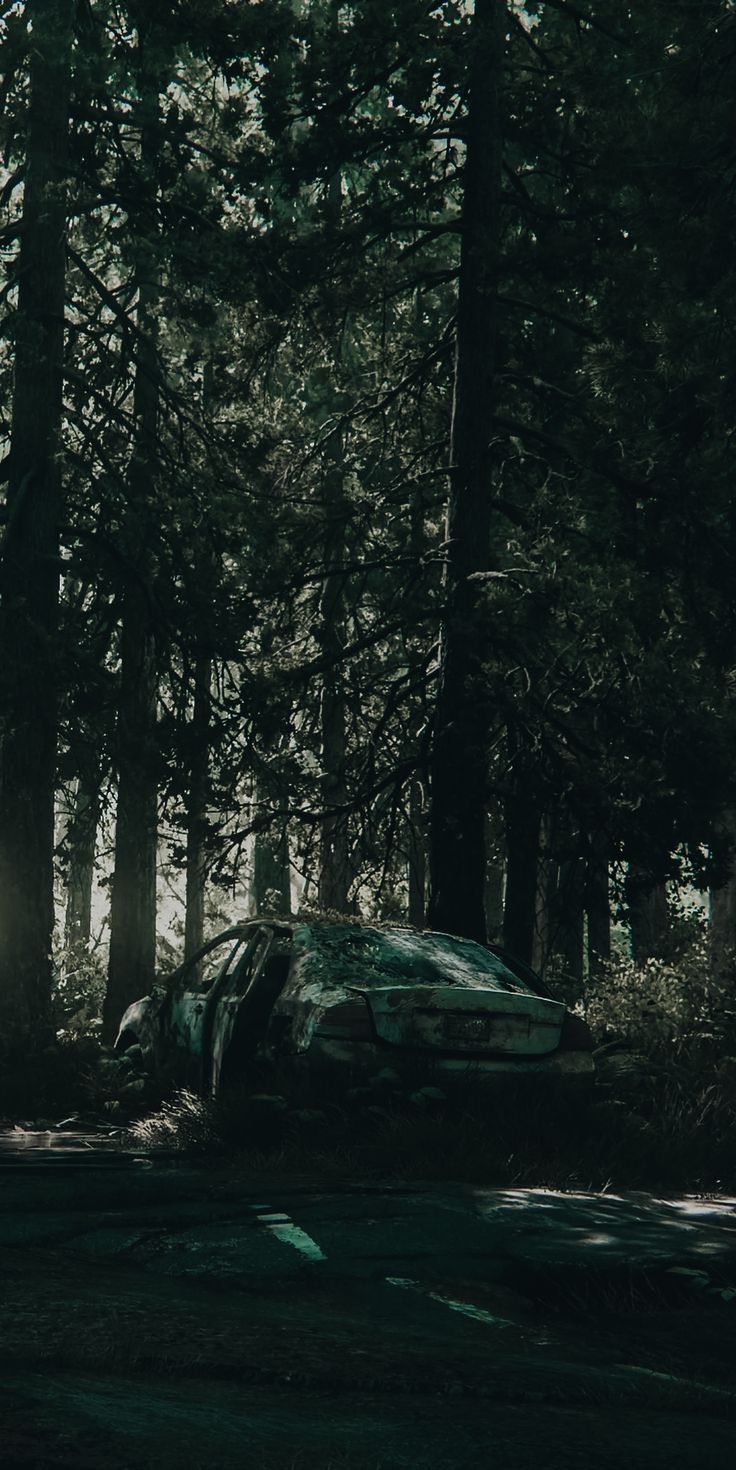 a car that is sitting in the woods