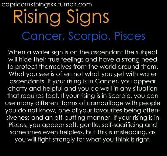 Scorpio Astrology Ascendant, Pisces Ascendant, Tattoo Leo, Pisces Rising, Rising Signs, Ascendant Sign, Pisces Scorpio, Scorpio Rising, Pisces Astrology