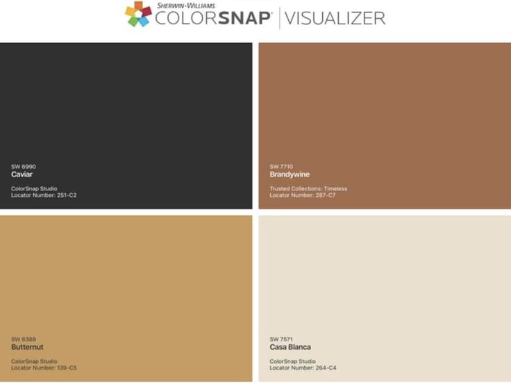 the colorsnap visualizer color palette is shown in shades of brown, beige and black