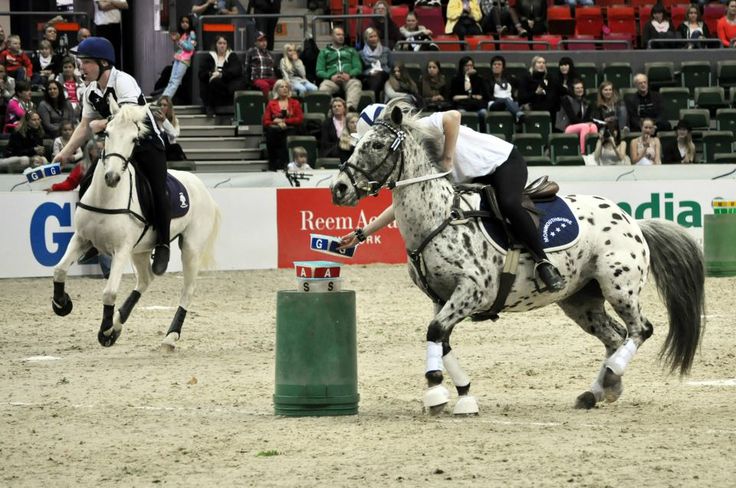 two people riding horses in an arena with spectators