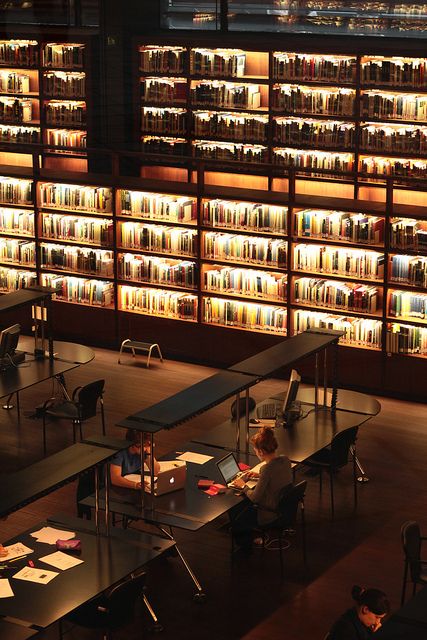 people are sitting at tables in front of bookshelves with lights on the shelves