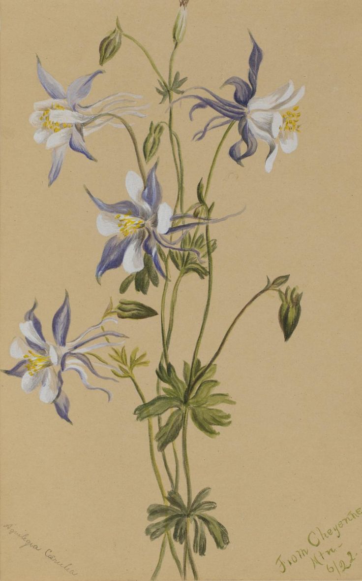 a painting of purple and white flowers on a yellow background