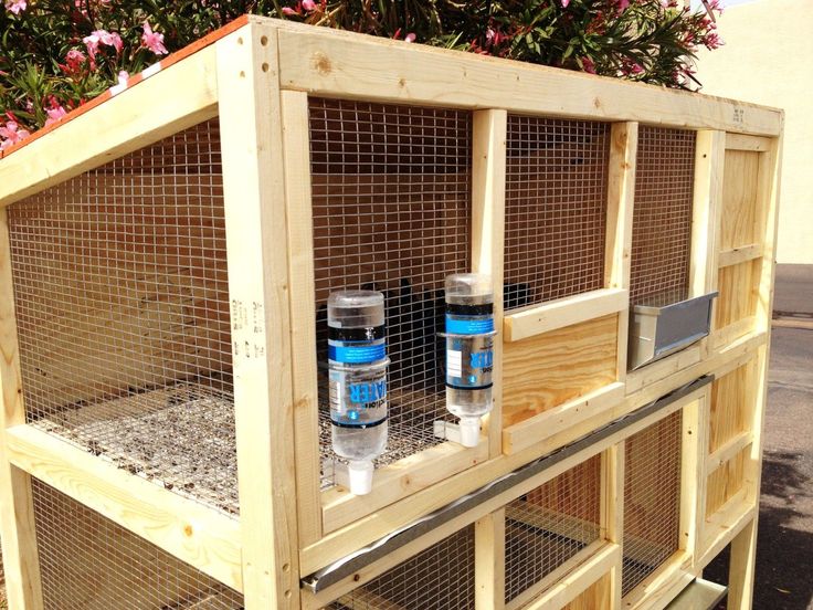 two bottles of water are in a caged area with plants and flowers behind them