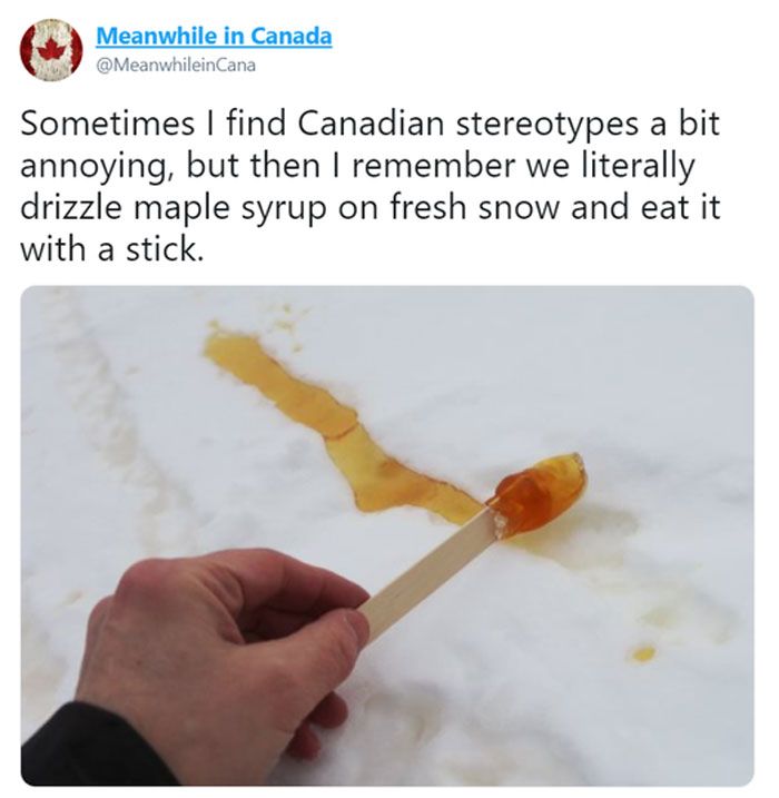 someone is holding a stick with something on it in their left hand, and the text reads sometimes i find canadian stereotypess a bit annoying, but then