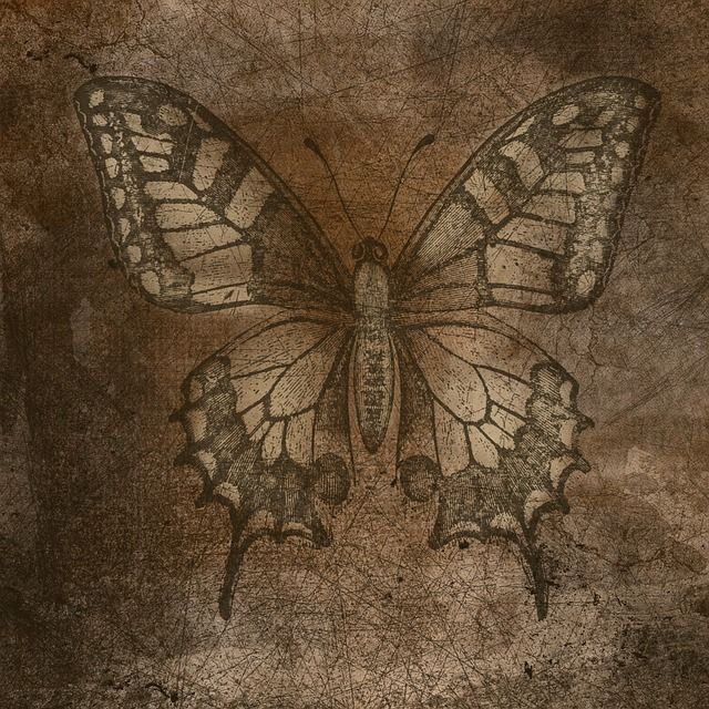 a drawing of a butterfly sitting on top of a brown paper background with the words,