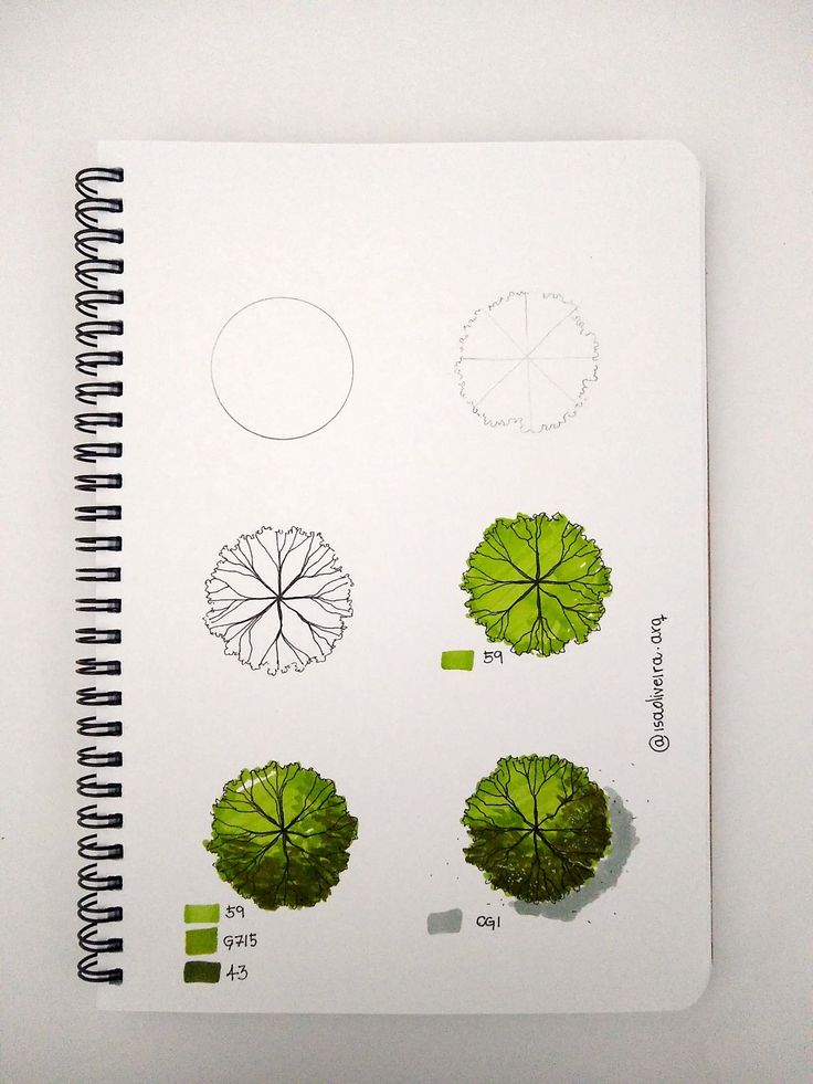 an open spiral notebook with green plants on it