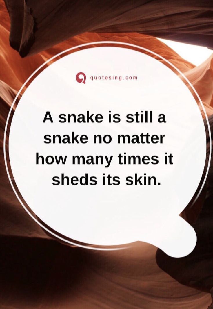 a quote about snake is still a snake no matter how many times it sheds its skin