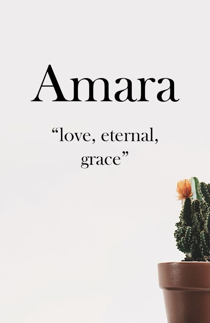 a small cactus in a pot with the words amara above it, love, eternal grace