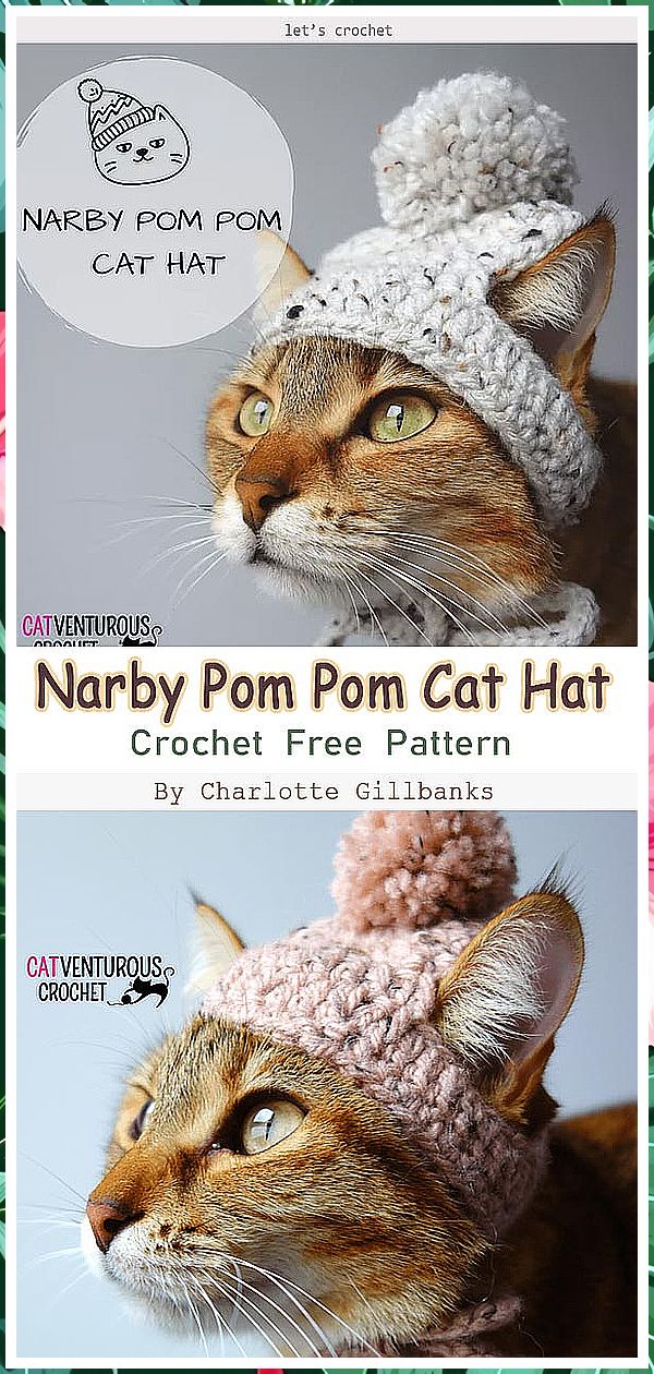 Cat Clothes - Visit now for you will not know what you will discover. Click to visit NOW! Crochet For Kittens, Crochet Collar For Cat, Crochet Stuff For Cats, Crochet Cat Outfits, Crocheted Cat Pattern, Crochet Cat Patterns Free, Crochet Things For Cats, Crochet Cat Sweater Free Pattern, Crochet Hats For Cats