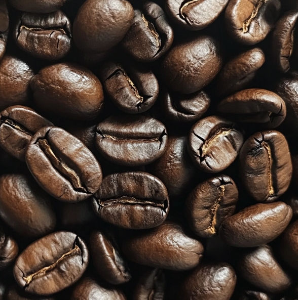 Close-up of roasted coffee beans in rich brown tones, highlighting the texture and deep color of a medium-dark roast from Headcount Coffee. Perfect Roast, Coffee Guide, Roasts, Dark Roast, Coffee Roasting, Floral Notes, Choose The Right, Coffee Lover, Your Perfect