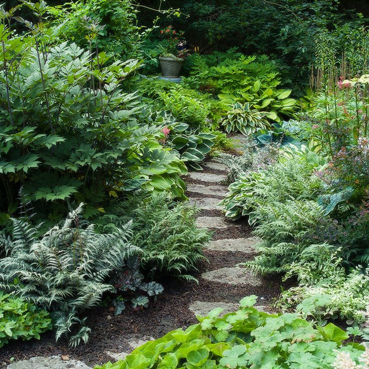 a garden with lots of green plants and flowers on the side of it, along with a stone path