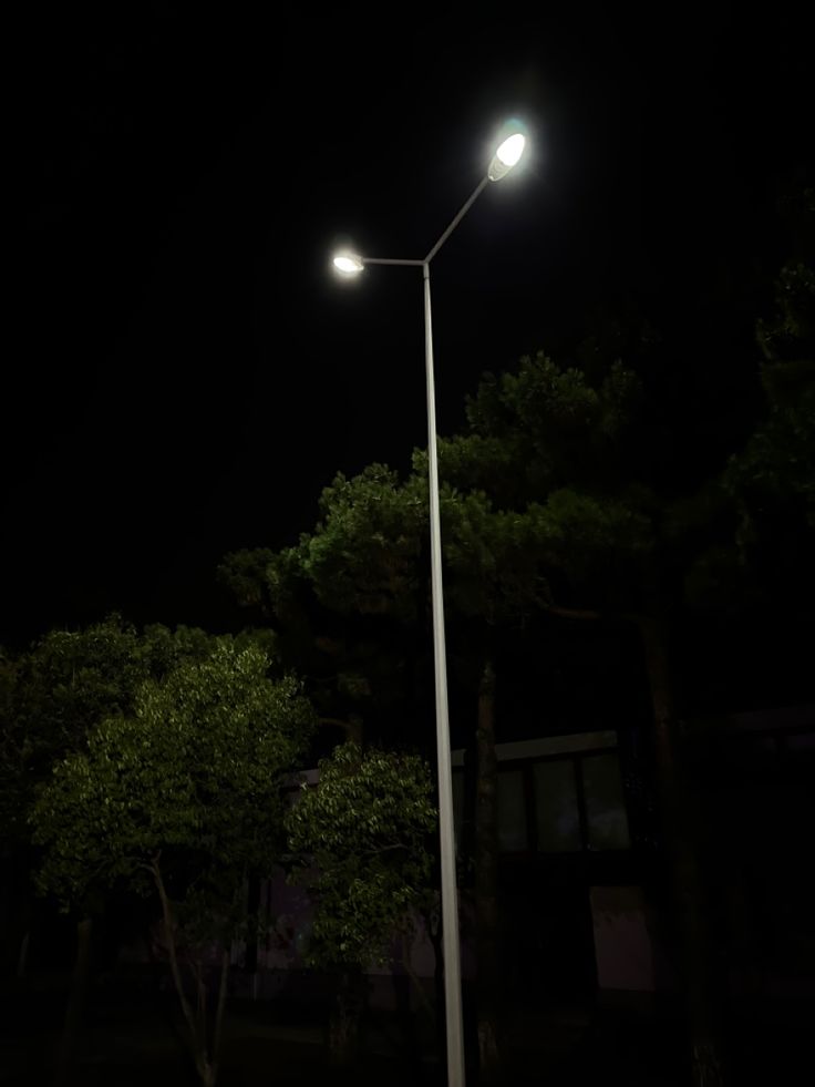 Night time street light woods forest