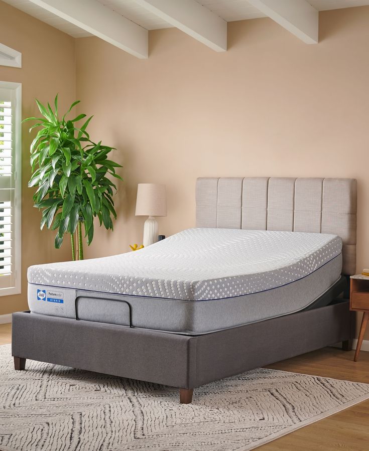 a bed with a mattress on top of it in a room next to a plant