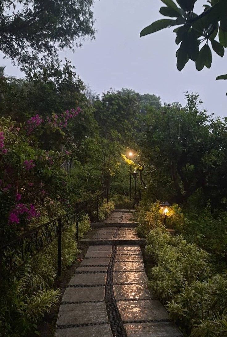 a stone path surrounded by lush green trees and bushes at night with lights on the walkway