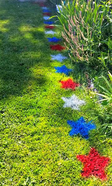 a row of red, white and blue streamers in the grass next to some bushes