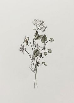 a drawing of some flowers on a white background