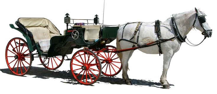 a white horse pulling a carriage with people in it's seat on the back