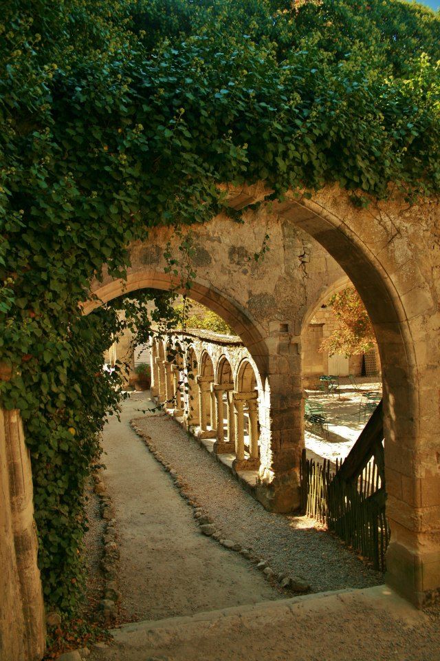 an archway with vines growing over it in the middle of a stone walkway between two buildings