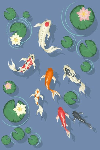 several different types of fish swimming in water with lily pads on the surface - animals characters