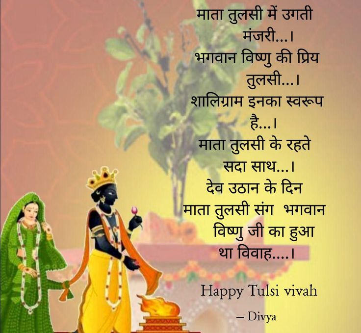 happy tulsi vish in english and hindi