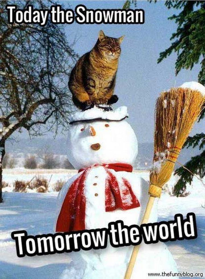 a cat sitting on top of a snowman that has a broom in its mouth