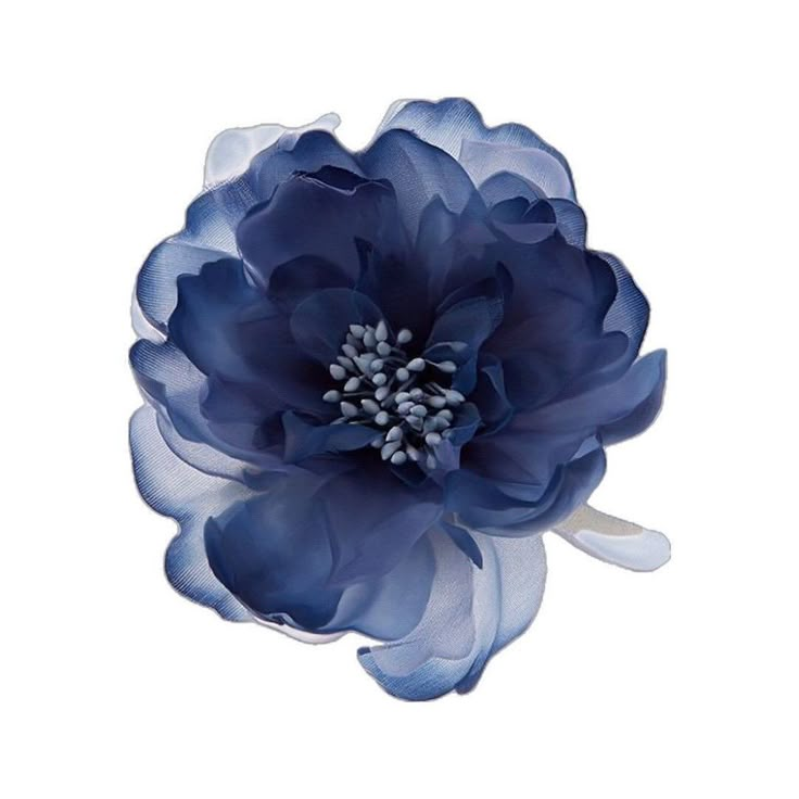 a large blue flower on a white background