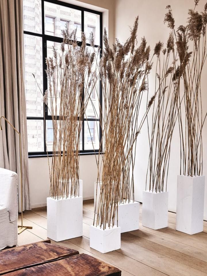 four white vases with dried plants in them sitting on a wooden floor next to a window