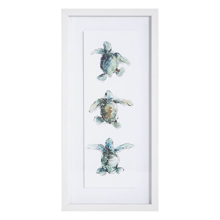 three sea turtles framed in white frame