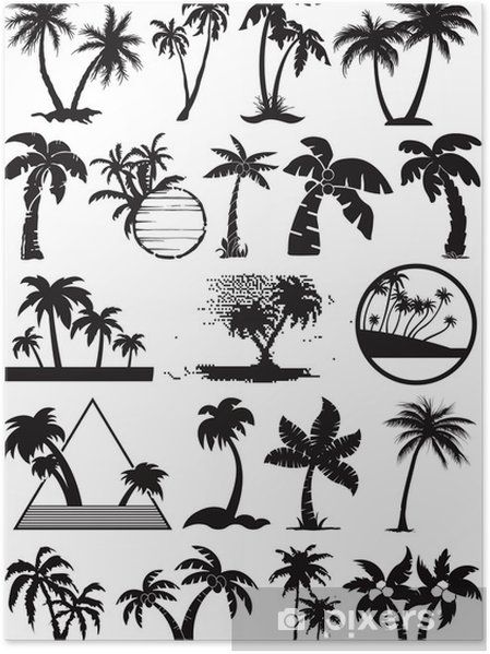 black and white palm trees silhouettes