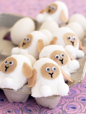 small stuffed sheeps are sitting in an egg carton on a purple tablecloth