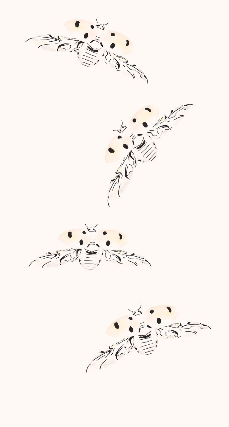 two drawings of bees on a white background