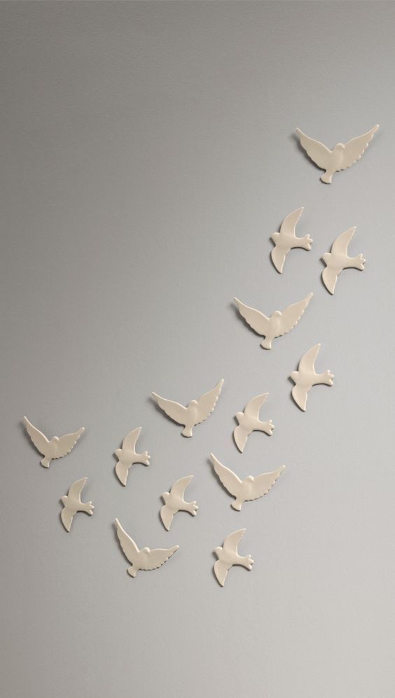 a flock of birds flying through the air on top of a gray surface with white walls