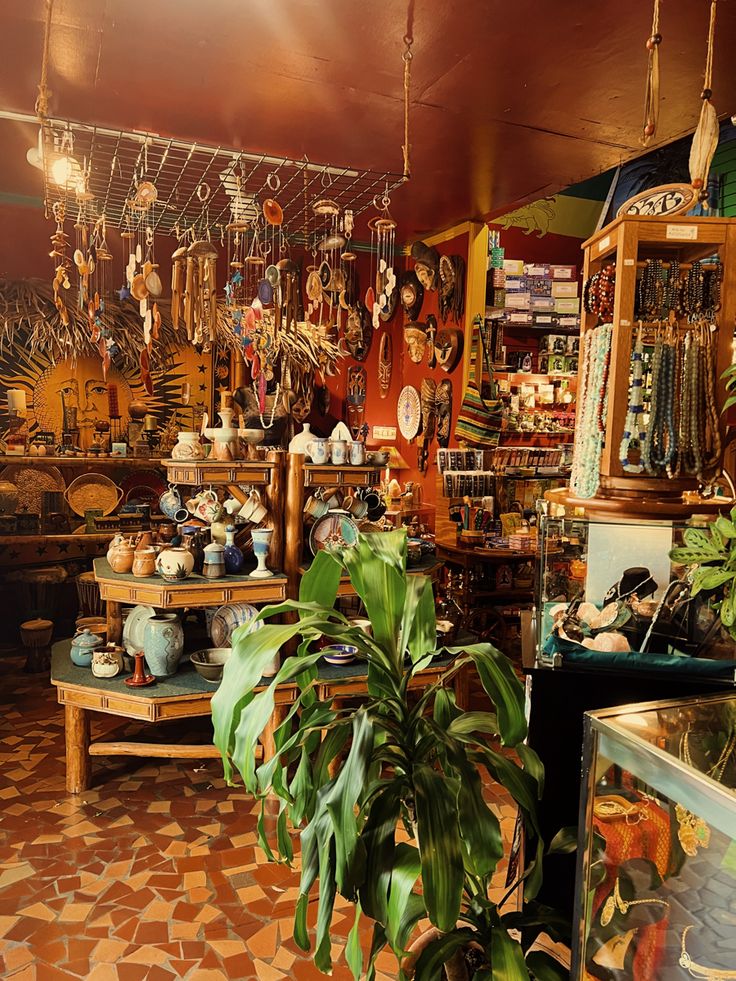 a room filled with lots of different items and hanging from the ceiling next to a potted plant