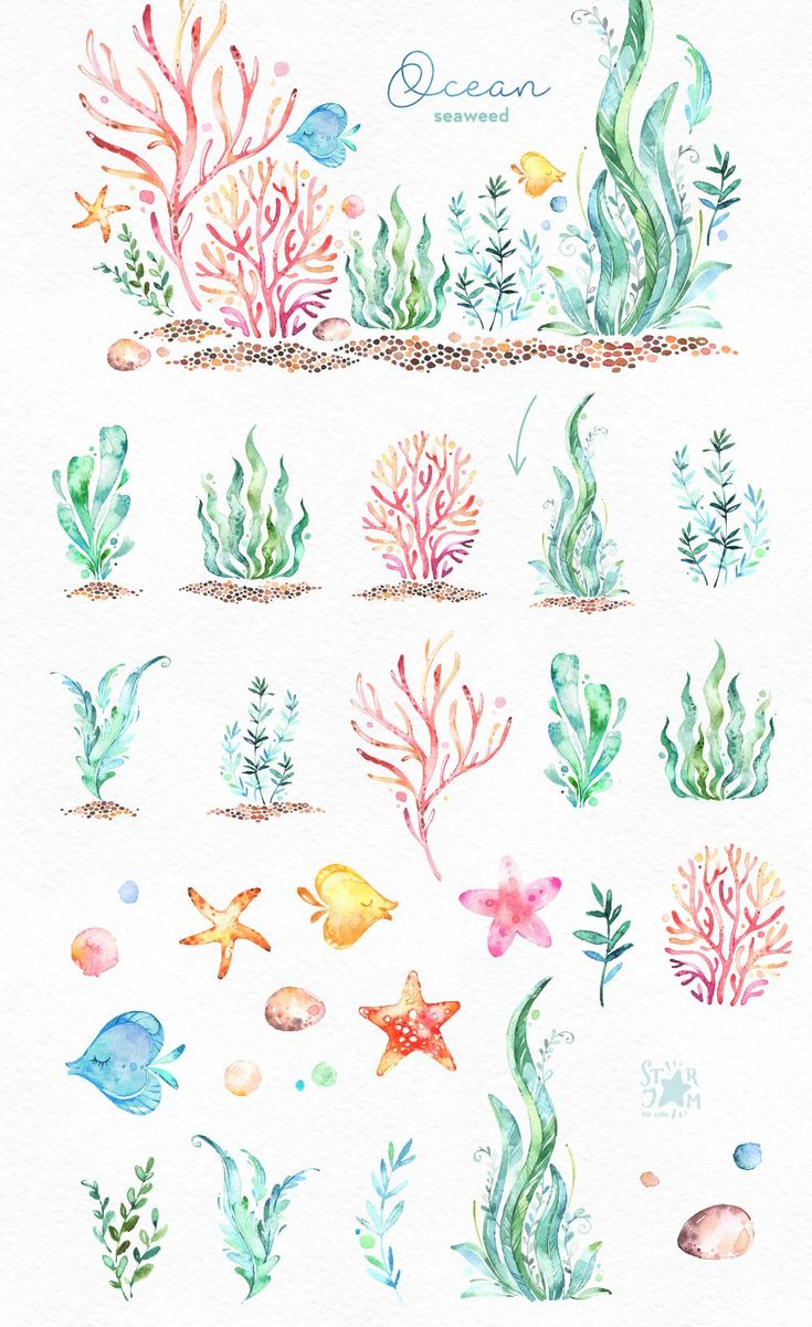 watercolor drawing of seaweed and corals on white paper with the words ocean written in