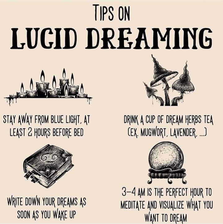 Lucid Dream Journal, Dream Journal Witchcraft, Herbs For Astral Projection, Dream Work Witchcraft, Lucid Dreaming Tips, Crystal Witchcraft, Dream Herbs, Holistic Coach, Dream Spell