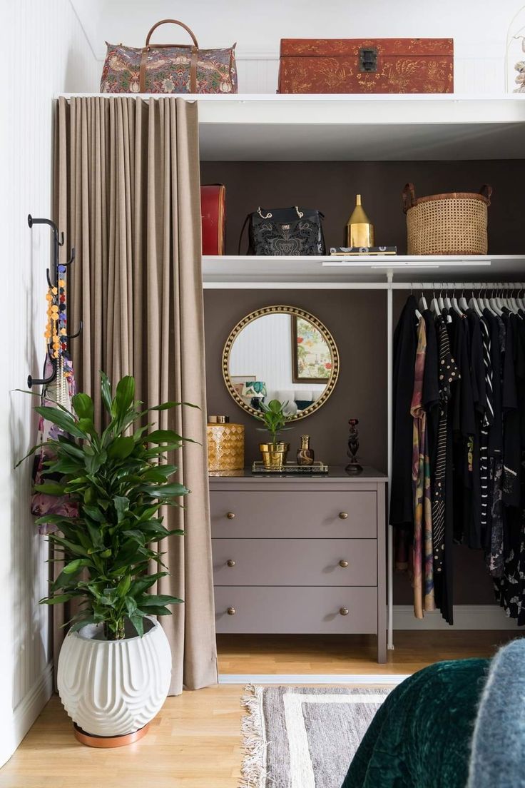 the closet is full of clothes and other items, including a potted green plant