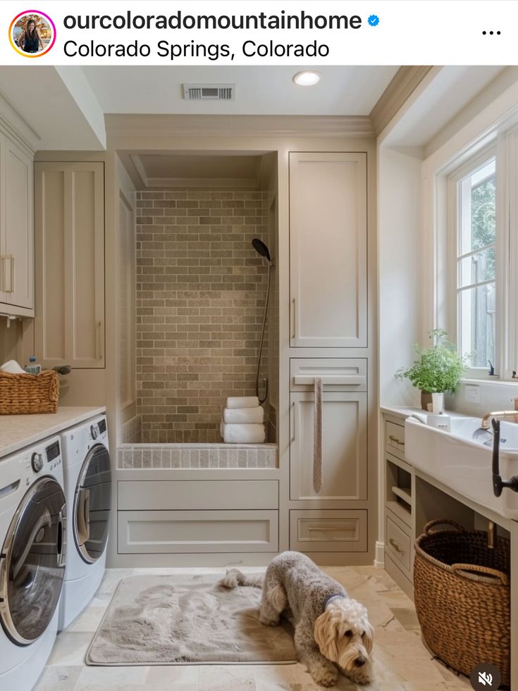 a dog laying on the floor next to a washer and dryer in a bathroom