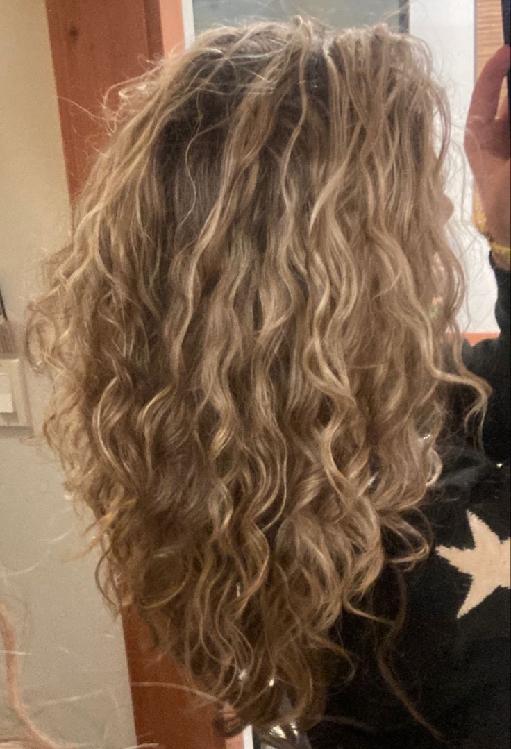 Highlight Wavy Hair, 3a Blonde Hair, Blonde Curly Hair Layers, Golden Blonde Curls, Blonde Curly Hair With Highlights, Dark Blonde Hair Curly, Dirty Blonde Hair With Highlights Curly, Brown Hair With Blonde Highlights Curly, Natural Curly Blonde Hair