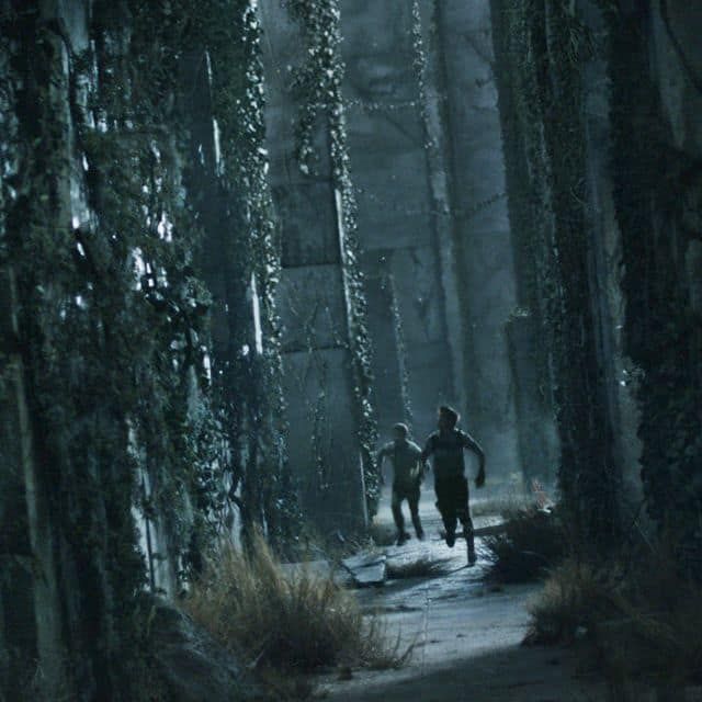 two people are walking through the woods in the dark, with lights on and vines all around them