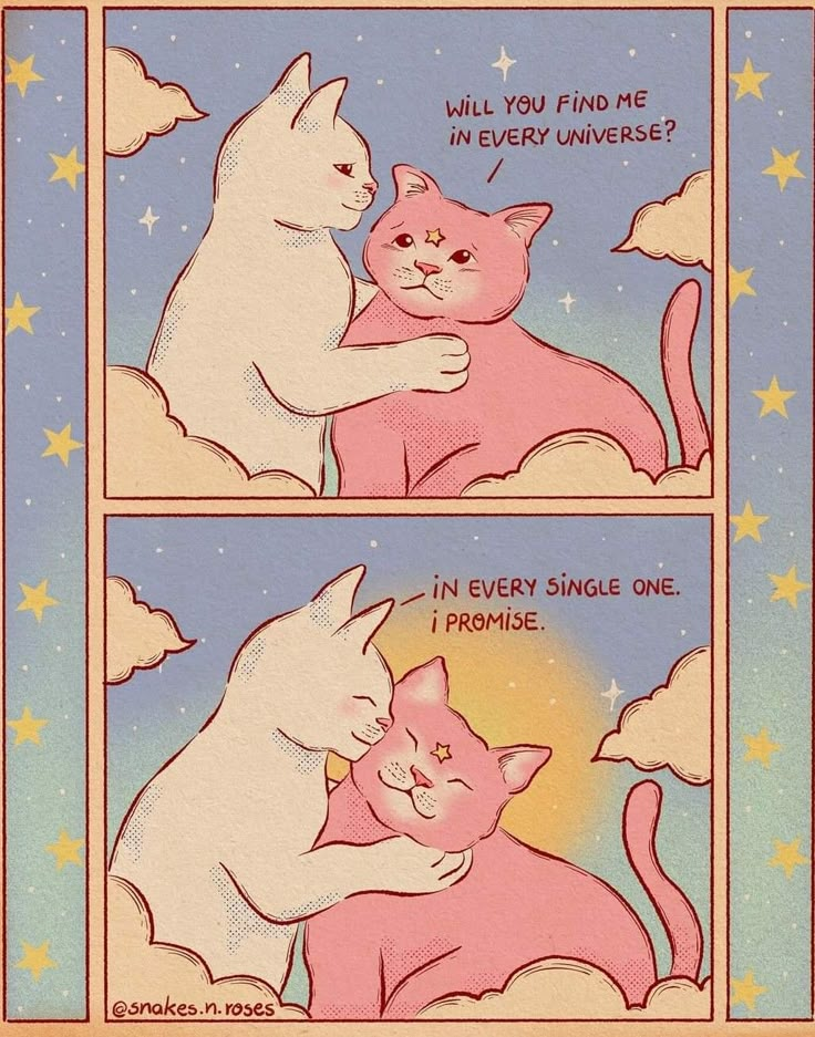 two comics about cats hugging each other with caption that reads, will you find me in every universe?