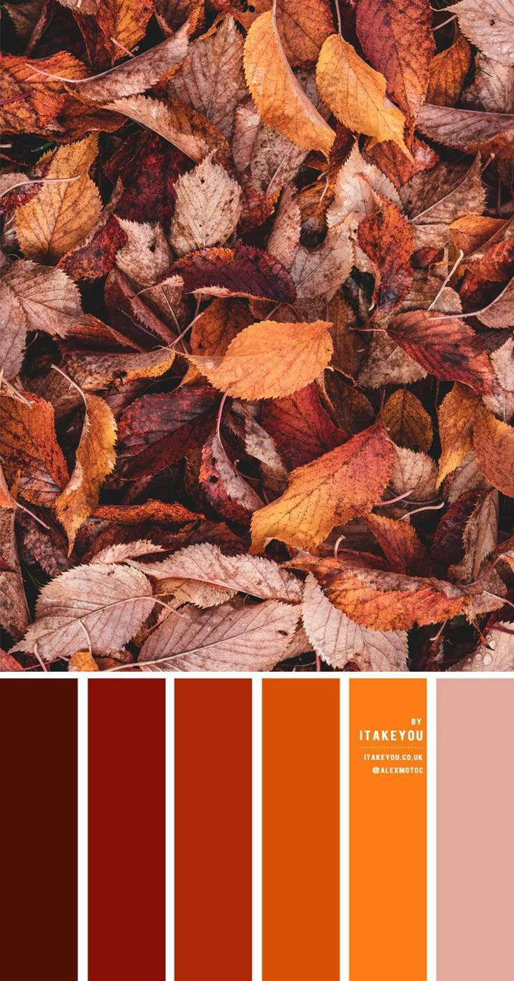 the color scheme for autumn is red, orange and brown with lots of leaves on it