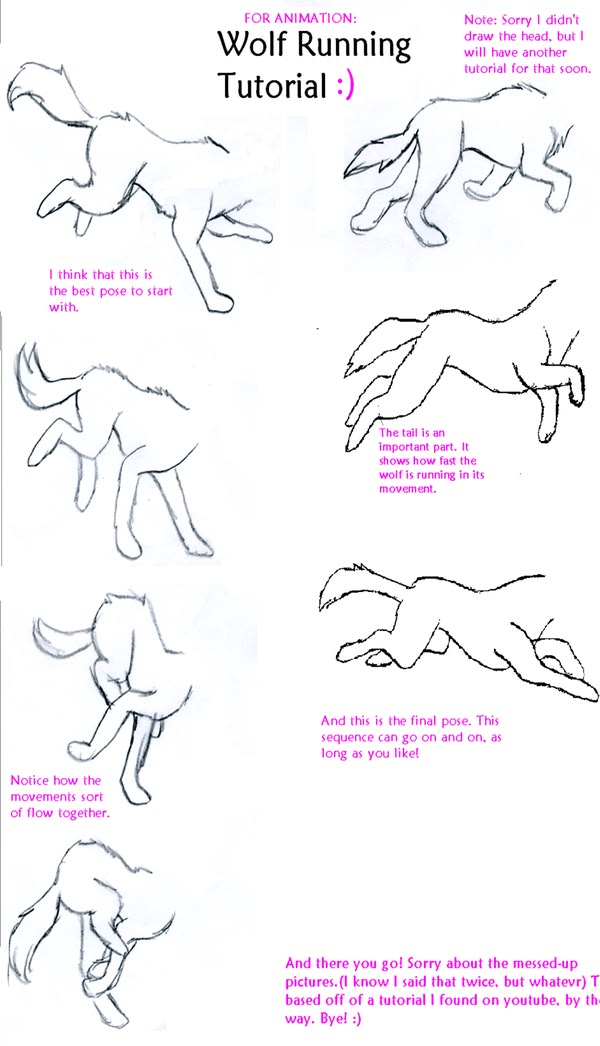 instructions for how to draw a wolf running