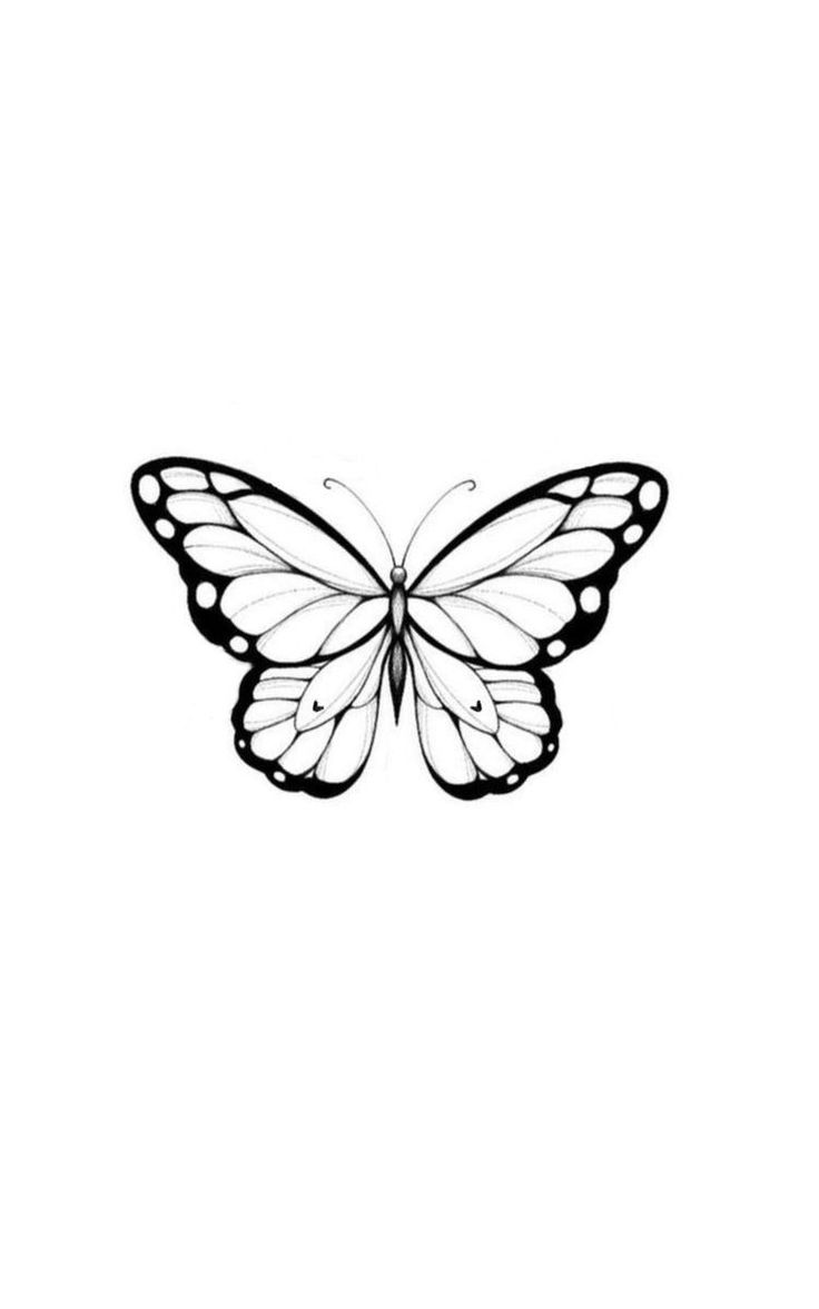 a black and white drawing of a butterfly